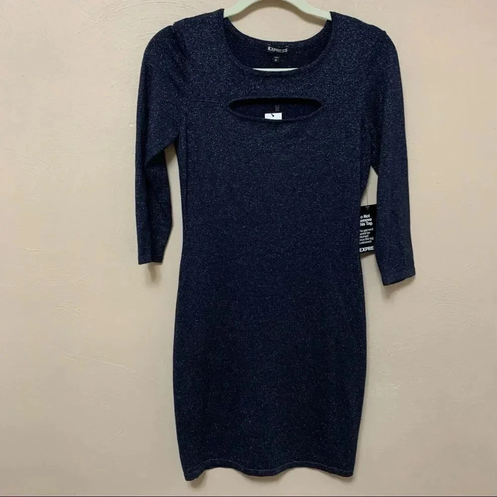 Express Dress - Picture 4 of 7